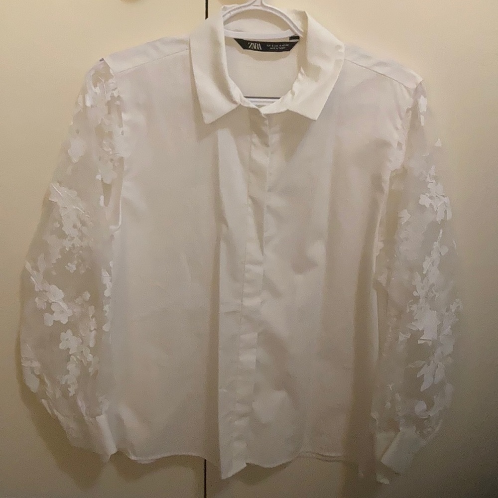 Zara Puff Sleeve Blouse